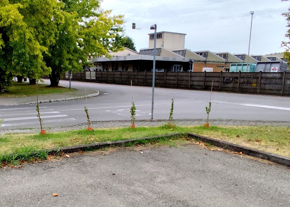 Avviso pubblico per la raccolta di adesioni per la cura e la gestione condivisa di piccole aree verdi