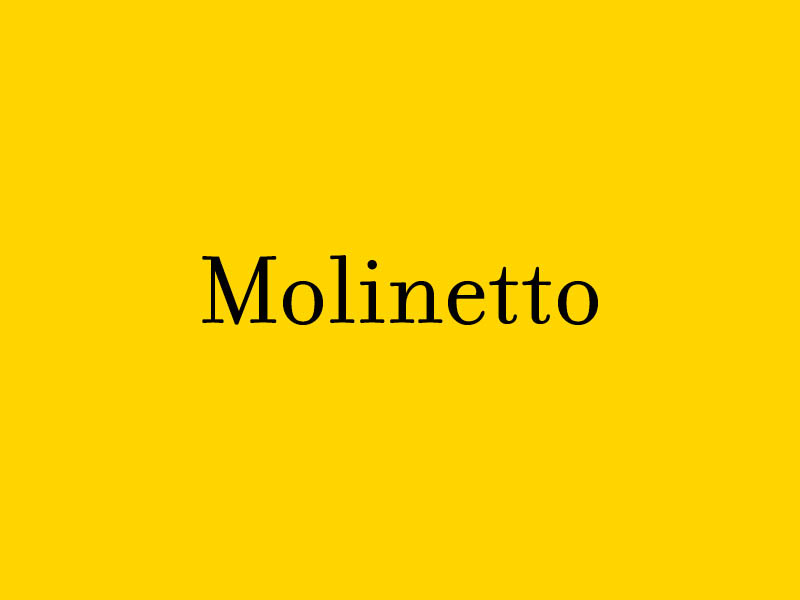 Laboratorio di quartiere Molinetto