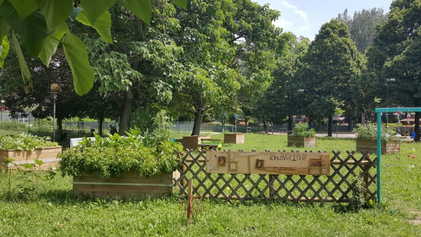 Serra di comunità del Montanara