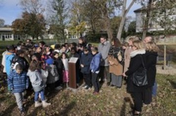Querce in via Ognibene