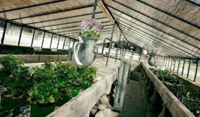 Il posto delle Viole - valorizzazione delle strutture architettoniche del Parco Ducale